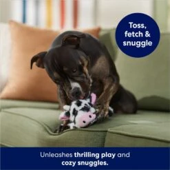 Frisco Cow Plush Squeaky Dog Toy 6 Frisco Cow Plush Squeaky Dog Toy -Frisco 147003 PT3. AC SS1800 V1686079871