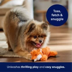 Frisco Fox Plush Squeaky Dog Toy 10 Frisco Fox Plush Squeaky Dog Toy -Frisco 147012 PT4. AC SS1800 V1695671028