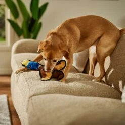 Frisco Duck Flat Plush Squeaky Dog Toy 6 Frisco Duck Flat Plush Squeaky Dog Toy -Frisco 147069 PT3. AC SS1800 V1674158058