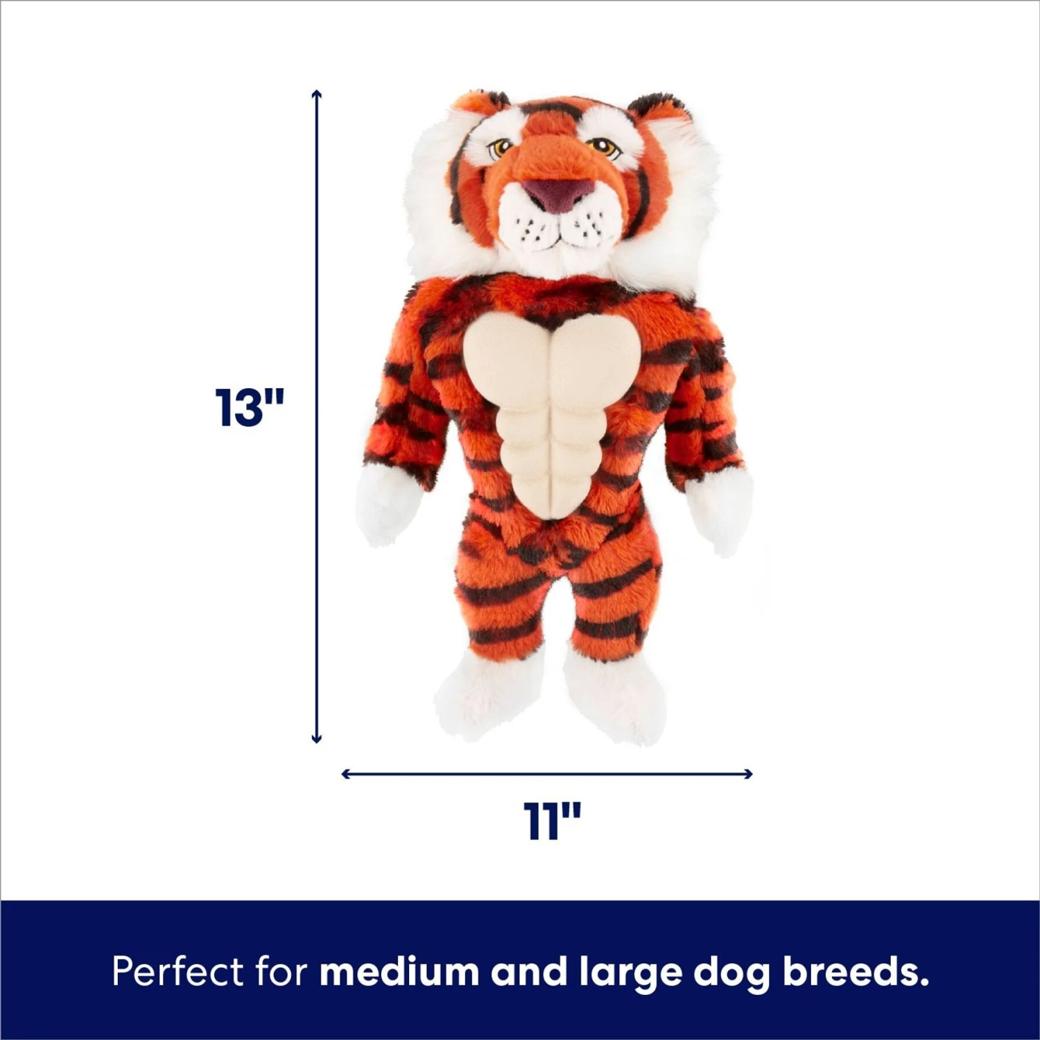 Frisco Tiger Muscle Plush Squeaky Dog Toy 2 Frisco Tiger Muscle Plush Squeaky Dog Toy - Image 2
