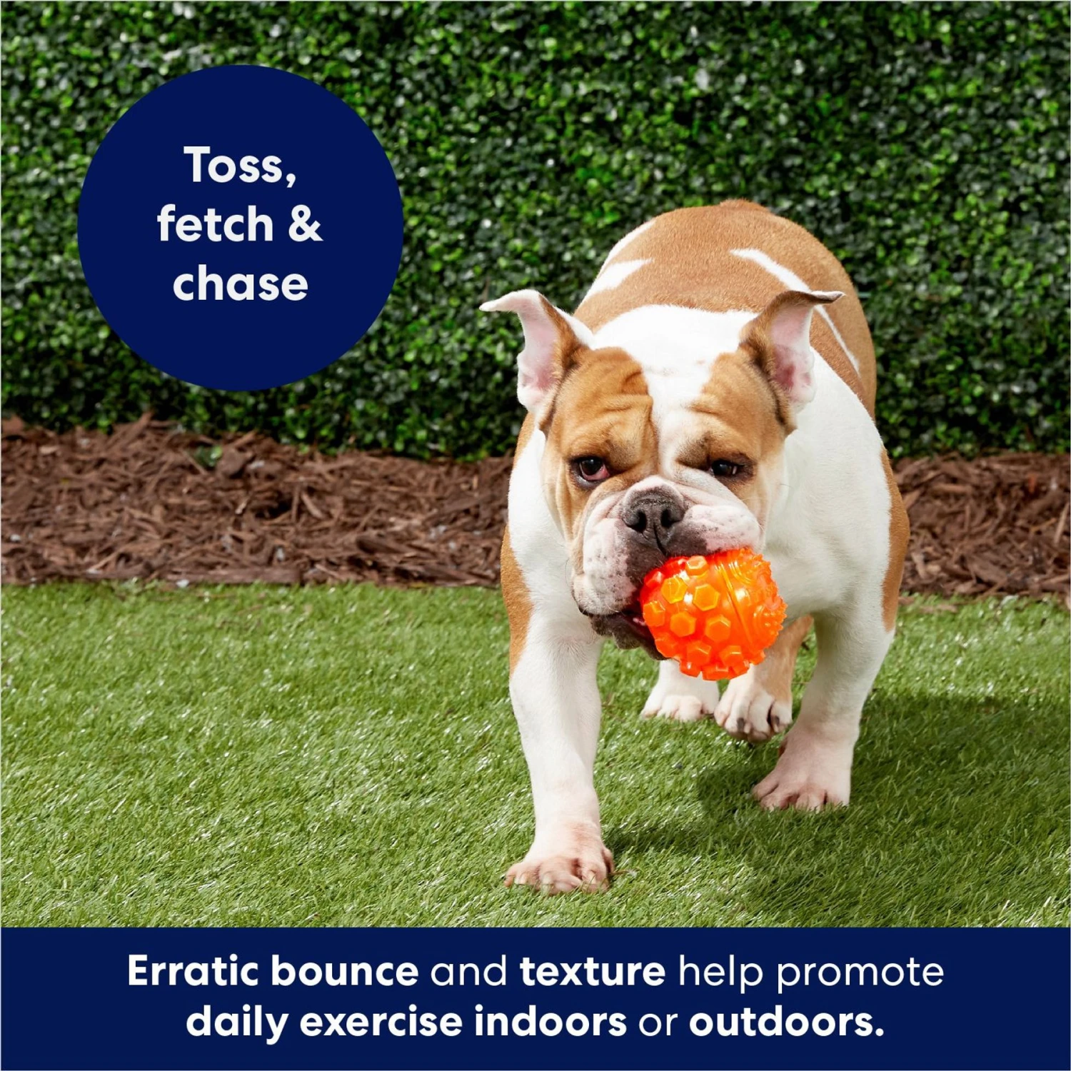 Frisco Fetch Squeaky TPR Ball Dog Toy 5 Frisco Fetch Squeaky TPR Ball Dog Toy - Image 5