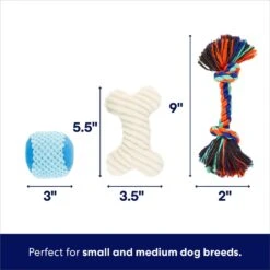 Frisco Chewy Box Hide & Seek Puzzle Plush Squeaky Dog Toy 9 Frisco Chewy Box Hide & Seek Puzzle Plush Squeaky Dog Toy -Frisco 152808 PT2. AC SS1800 V1695659219