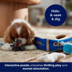 Frisco Chewy Box Hide & Seek Puzzle Plush Squeaky Dog Toy 12 Frisco Chewy Box Hide & Seek Puzzle Plush Squeaky Dog Toy -Frisco 152808 PT5. AC SS1800 V1695670752
