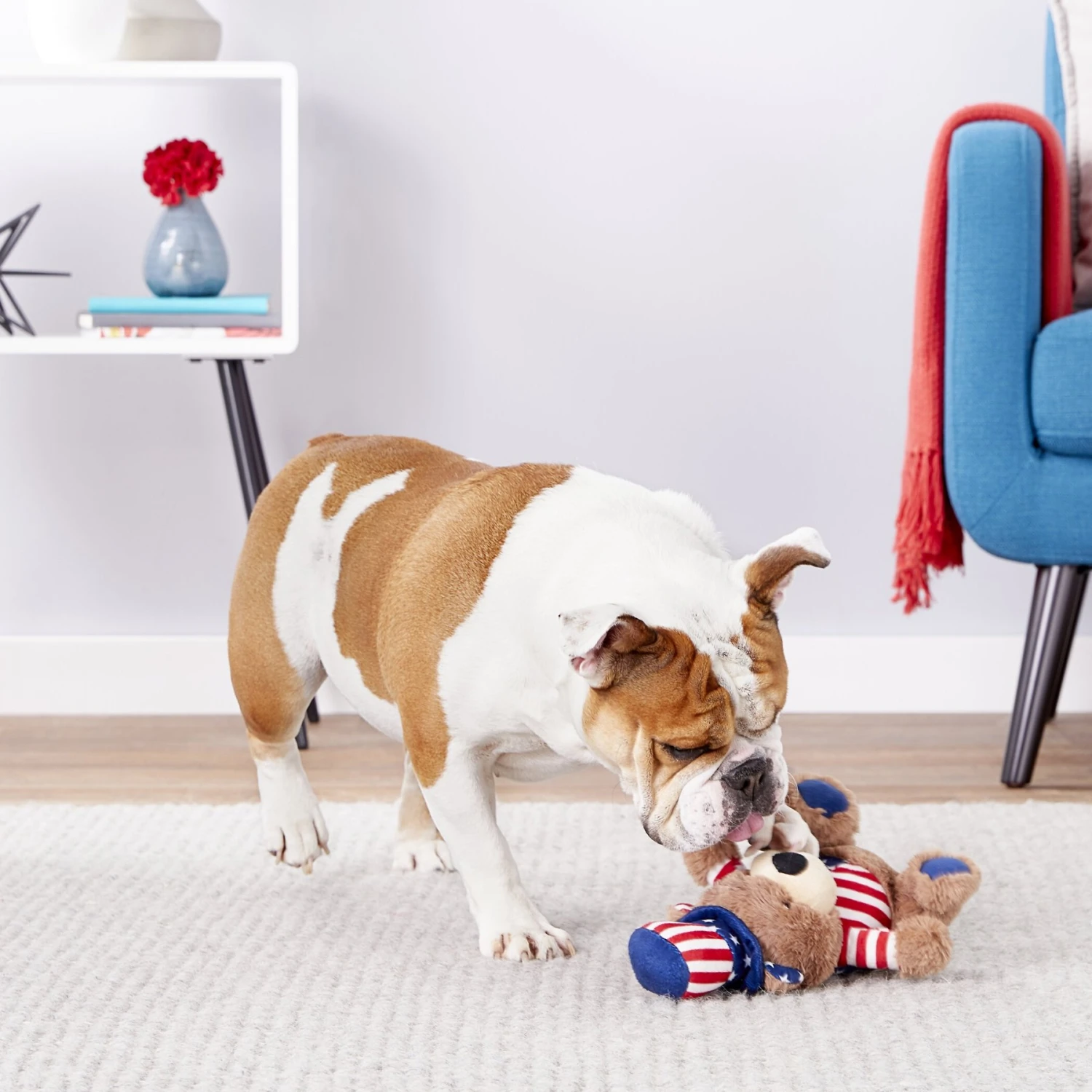 Frisco American Flag Bear Plush Squeaky Dog Toy 3 Frisco American Flag Bear Plush Squeaky Dog Toy - Image 3