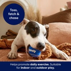 Frisco Chewy Fetch Squeaky Tennis Ball Dog Toy 9 Frisco Chewy Fetch Squeaky Tennis Ball Dog Toy -Frisco 164314 PT3. AC SS1800 V1691783970
