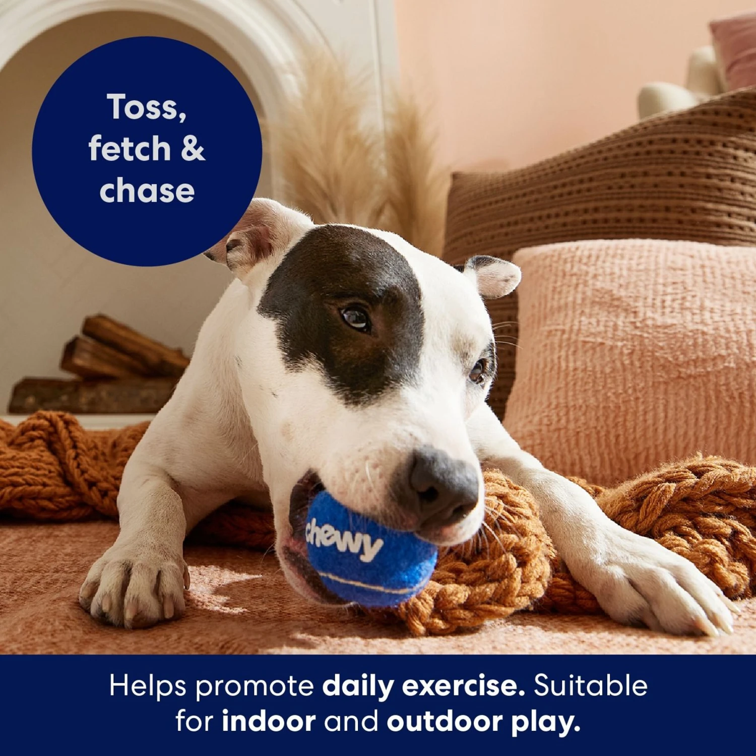 Frisco Chewy Fetch Squeaky Tennis Ball Dog Toy 4 Frisco Chewy Fetch Squeaky Tennis Ball Dog Toy - Image 4