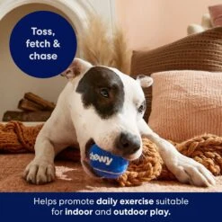 Frisco Chewy Fetch Squeaky Tennis Ball Dog Toy 10 Frisco Chewy Fetch Squeaky Tennis Ball Dog Toy -Frisco 164314 PT5. AC SS1800 V1691783910
