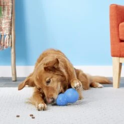 Frisco Snowman Rubber Treat Dispenser Dog Toy 11 Frisco Snowman Rubber Treat Dispenser Dog Toy -Frisco 164769 PT4. AC SS1800 V1563808954