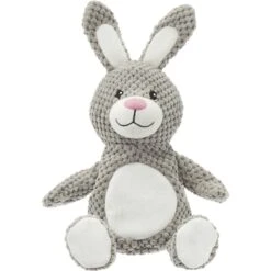 Frisco Bunny Textured Plush Squeaky Dog Toy
