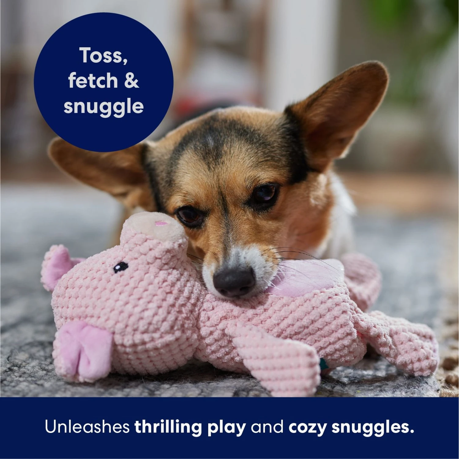 Frisco Pig Textured Plush Squeaky Dog Toy 5 Frisco Pig Textured Plush Squeaky Dog Toy - Image 5