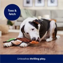 Frisco Mallard Stuffing-Free Flat Plush Squeaky Dog Toy 10 Frisco Mallard Stuffing-Free Flat Plush Squeaky Dog Toy -Frisco 174731 PT5. AC SS1800 V1686579082