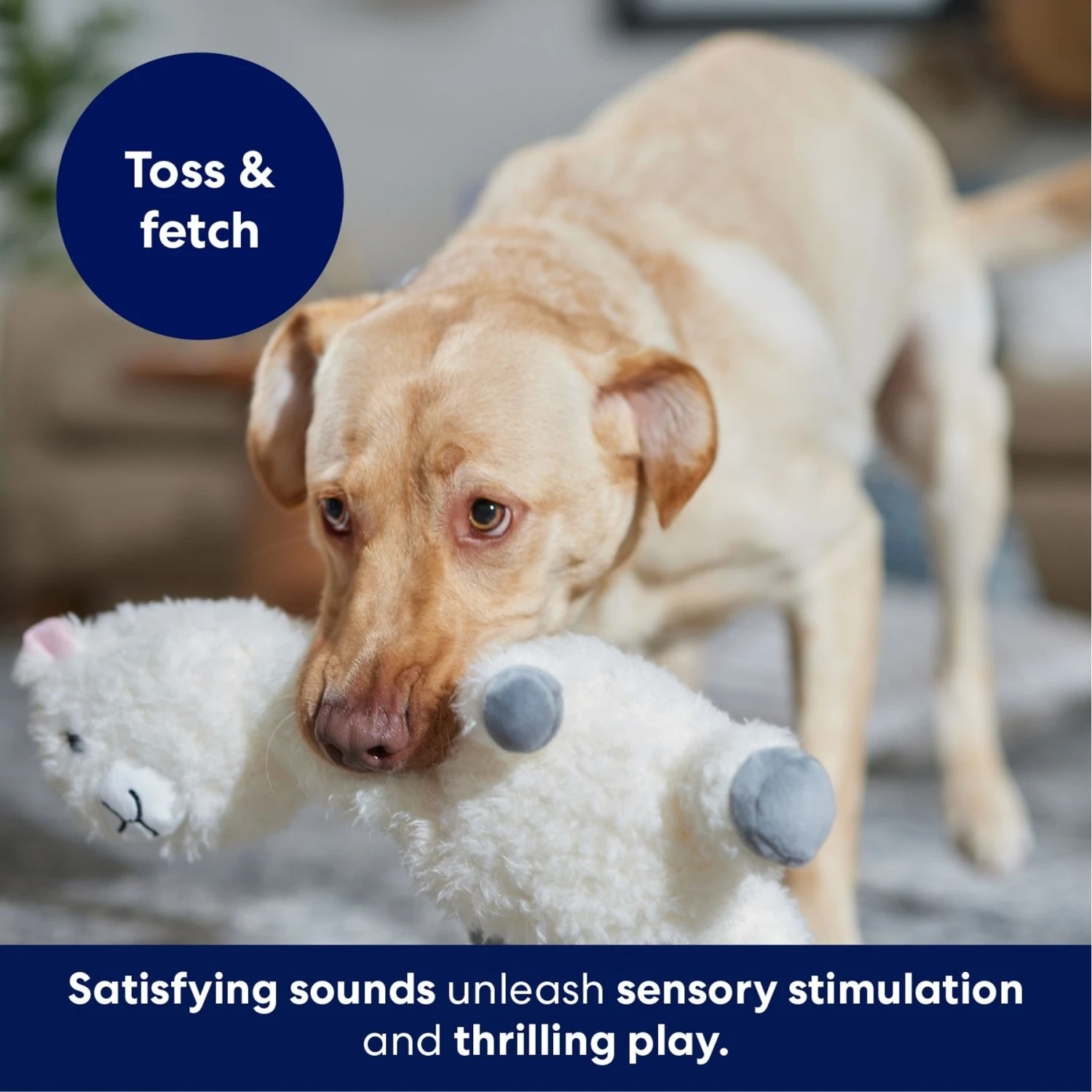 Frisco Llama Bobberz Plush Squeaky Dog Toy 5 Frisco Llama Bobberz Plush Squeaky Dog Toy - Image 5