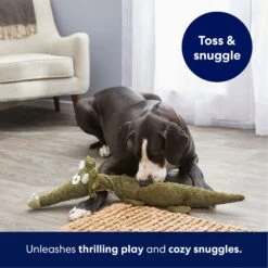 Frisco Triceratops Wagazoo Plush Squeaky Dog Toy 10 Frisco Triceratops Wagazoo Plush Squeaky Dog Toy -Frisco 174747 PT4. AC SS1800 V1695748419