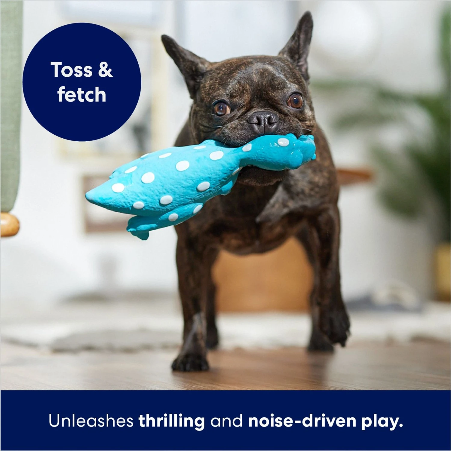 Frisco Dinosaur Latex Squeaky Dog Toy 4 Frisco Dinosaur Latex Squeaky Dog Toy - Image 4