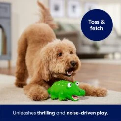 Frisco Alligator Latex Squeaky Dog Toy 8 Frisco Alligator Latex Squeaky Dog Toy -Frisco 174772 PT3. AC SS1800 V1686579212