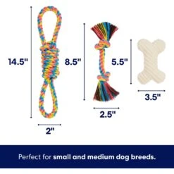 Frisco Jungle Pals Plush & Rope Variety Pack Dog Toy 7 Frisco Jungle Pals Plush & Rope Variety Pack Dog Toy -Frisco 177819 PT2. AC SS1800 V1686579629