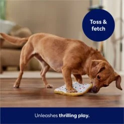 Frisco Frosted Pastry Stuffing-Free Flat Plush Squeaky Dog Toy 10 Frisco Frosted Pastry Stuffing-Free Flat Plush Squeaky Dog Toy -Frisco 213812 PT5. AC SS1800 V1686579088