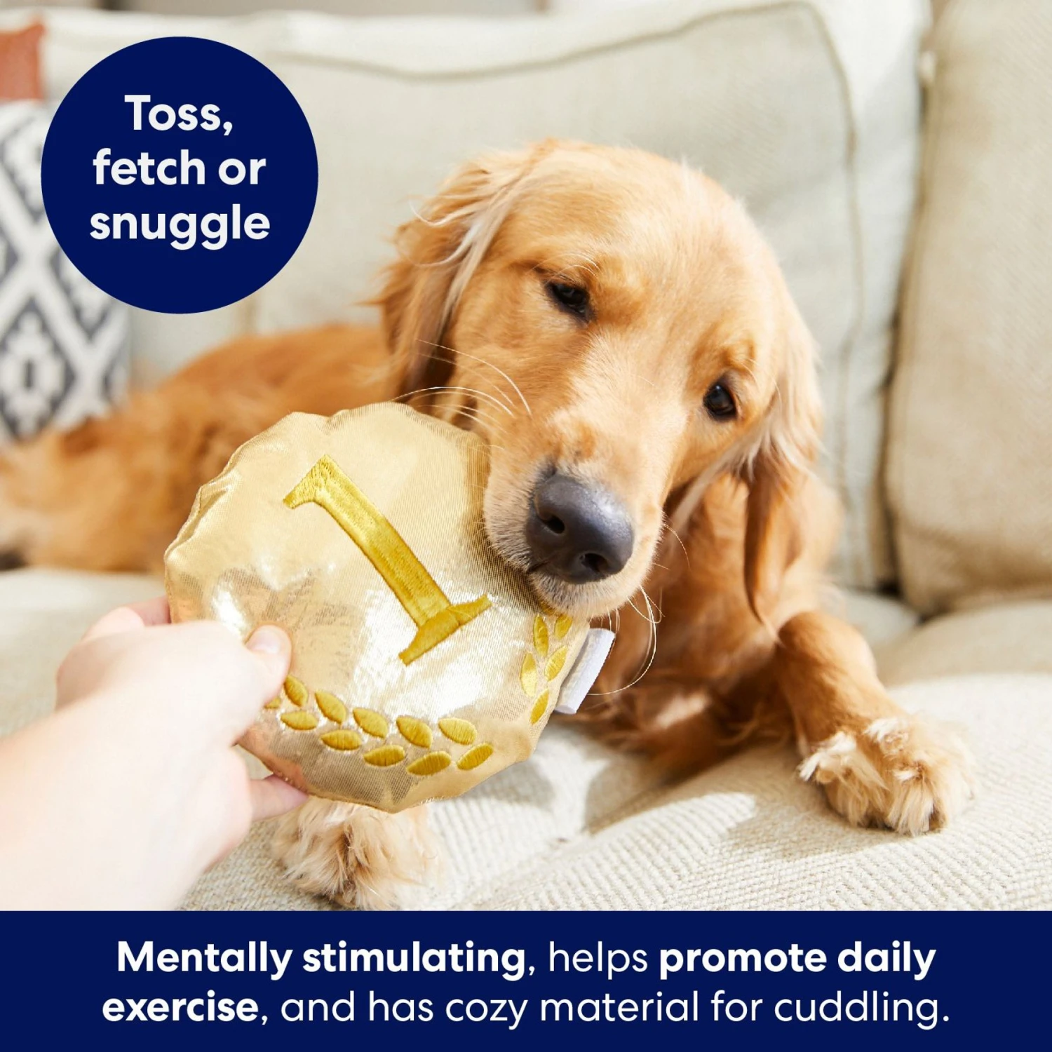 Frisco Gold Medal Round Plush Squeaky Dog Toy 4 Frisco Gold Medal Round Plush Squeaky Dog Toy - Image 4