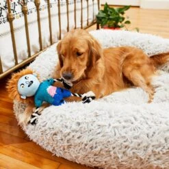 Frisco Zombie Boy Plush With Rope Squeaky Dog Toy 5 Frisco Zombie Boy Plush With Rope Squeaky Dog Toy -Frisco 218569 PT6. AC SS1800 V1597599376