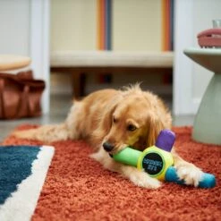 Frisco Retro Whack It! Ballistic Nylon Plush Squeaky Dog Toy 5 Frisco Retro Whack It! Ballistic Nylon Plush Squeaky Dog Toy -Frisco 230302 PT3. AC SS1800 V1601947283