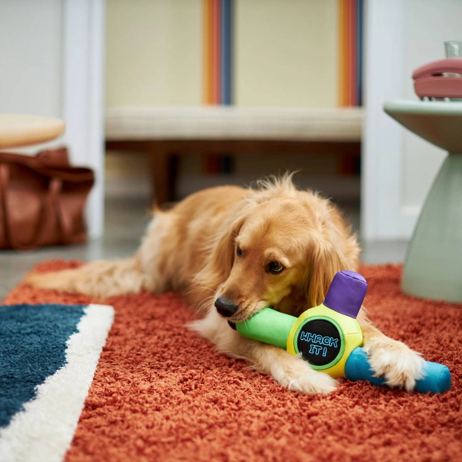 Frisco Retro Whack It! Ballistic Nylon Plush Squeaky Dog Toy 3 Frisco Retro Whack It! Ballistic Nylon Plush Squeaky Dog Toy - Image 3