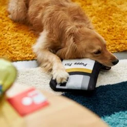 Frisco Retro Floppy Disc Ballistic Nylon Plush Squeaky Dog Toy 5 Frisco Retro Floppy Disc Ballistic Nylon Plush Squeaky Dog Toy -Frisco 230304 PT3. AC SS1800 V1602639753