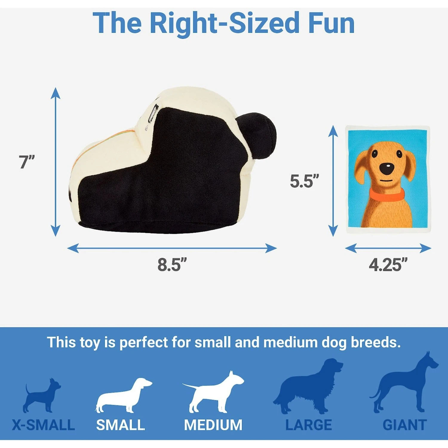 Frisco Retro Camera 2-in-1 Rip For Surprise Plush Squeaky Dog Toy 2 Frisco Retro Camera 2-in-1 Rip For Surprise Plush Squeaky Dog Toy - Image 2