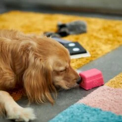 Frisco Retro Funky Van TPE Treat Dispenser Dog Toy, Medium/Large 8 Frisco Retro Funky Van TPE Treat Dispenser Dog Toy, Medium/Large -Frisco 230383 PT4. AC SS1800 V1669908614