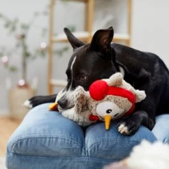 Frisco Holiday Owl Plush Squeaky Dog Toy 8 Frisco Holiday Owl Plush Squeaky Dog Toy -Frisco 233160 PT2. AC SS1800 V1601304724