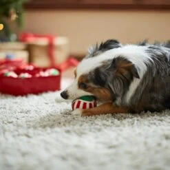 Frisco Holiday Wreath Fetch Squeaky Tennis Ball Dog Toy 10 Frisco Holiday Wreath Fetch Squeaky Tennis Ball Dog Toy -Frisco 233189 PT3. AC SS1800 V1665759769