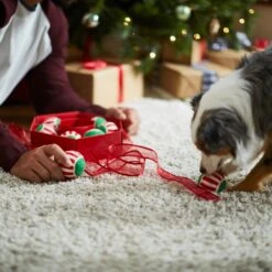 Frisco Holiday Wreath Fetch Squeaky Tennis Ball Dog Toy 11 Frisco Holiday Wreath Fetch Squeaky Tennis Ball Dog Toy -Frisco 233189 PT5. AC SS1800 V1601919657