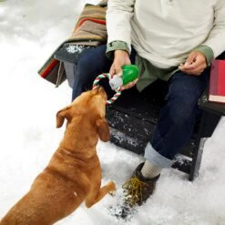 Frisco Holiday Christmas Light Rope With TPR Squeaky Dog Toy 7 Frisco Holiday Christmas Light Rope With TPR Squeaky Dog Toy -Frisco 233278 PT2. AC SS1800 V1601641574