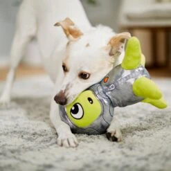 Frisco Alien Plush Squeaky Dog Toy 5 Frisco Alien Plush Squeaky Dog Toy -Frisco 233579 PT3. AC SS1800 V1600973833