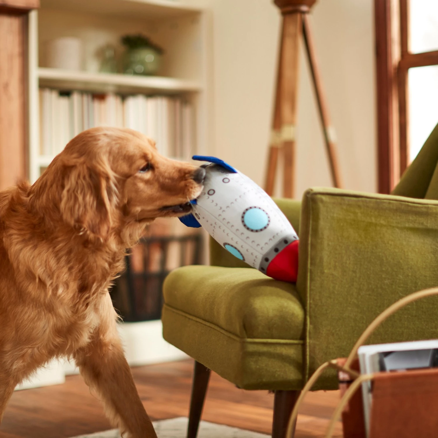 Frisco Ballistic Nylon Plush Squeaky Rocket Ship Dog Toy 3 Frisco Ballistic Nylon Plush Squeaky Rocket Ship Dog Toy - Image 3