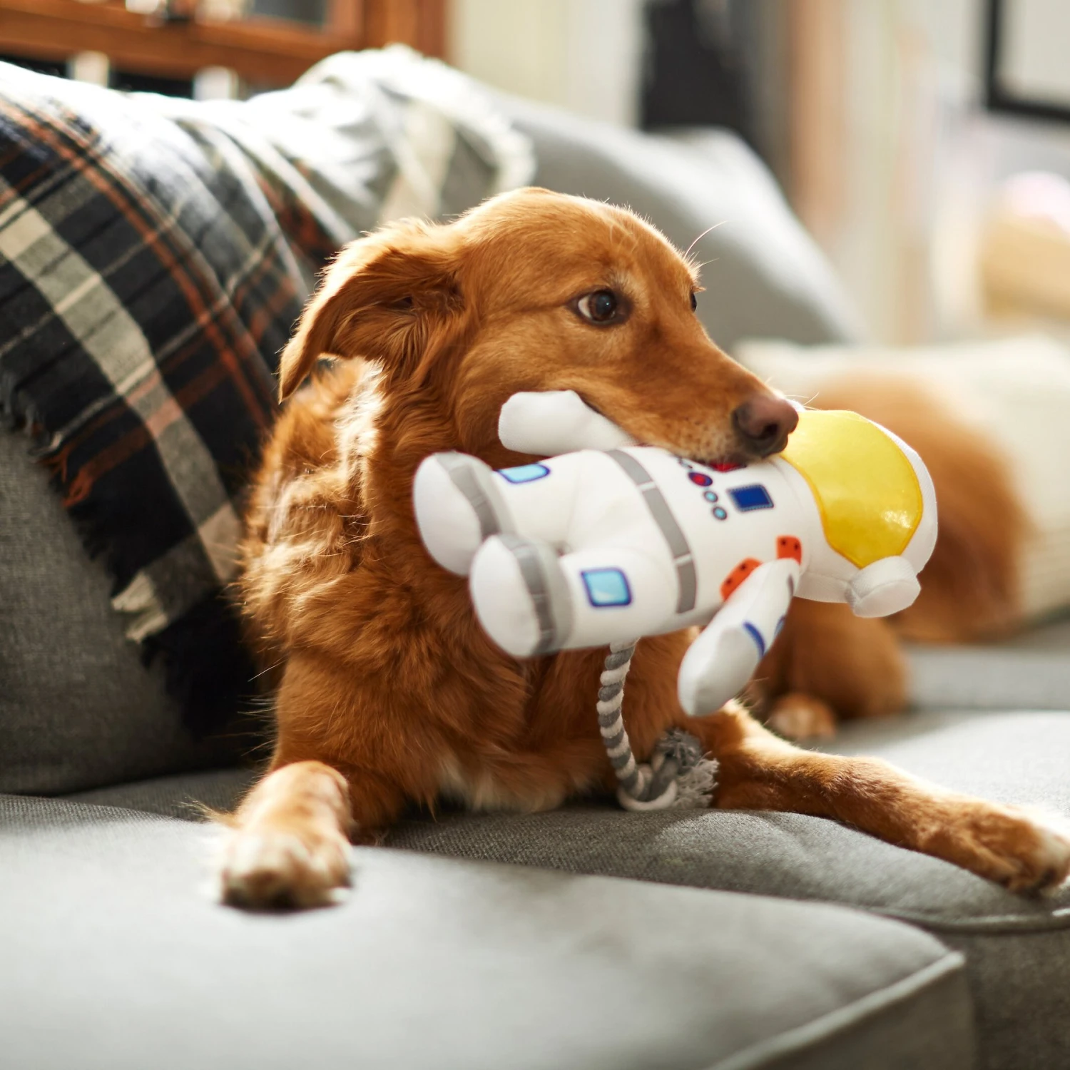 Frisco Ballistic Nylon Plush With Rope Squeaky Astronaut Dog Toy 3 Frisco Ballistic Nylon Plush With Rope Squeaky Astronaut Dog Toy - Image 3