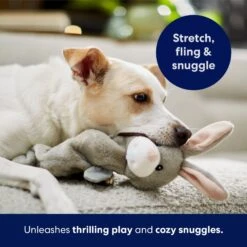 Frisco Bunny Bungee Plush Squeaky Dog Toy 10 Frisco Bunny Bungee Plush Squeaky Dog Toy -Frisco 233612 PT5. AC SS1800 V1691783971