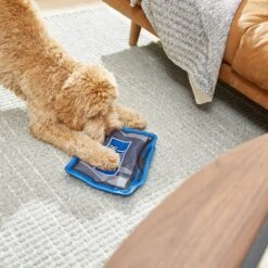 Frisco Zoomies & Chill TV Flat Plush Squeaky Dog Toy 7 Frisco Zoomies & Chill TV Flat Plush Squeaky Dog Toy -Frisco 241685 PT6. AC SS1800 V1610768399