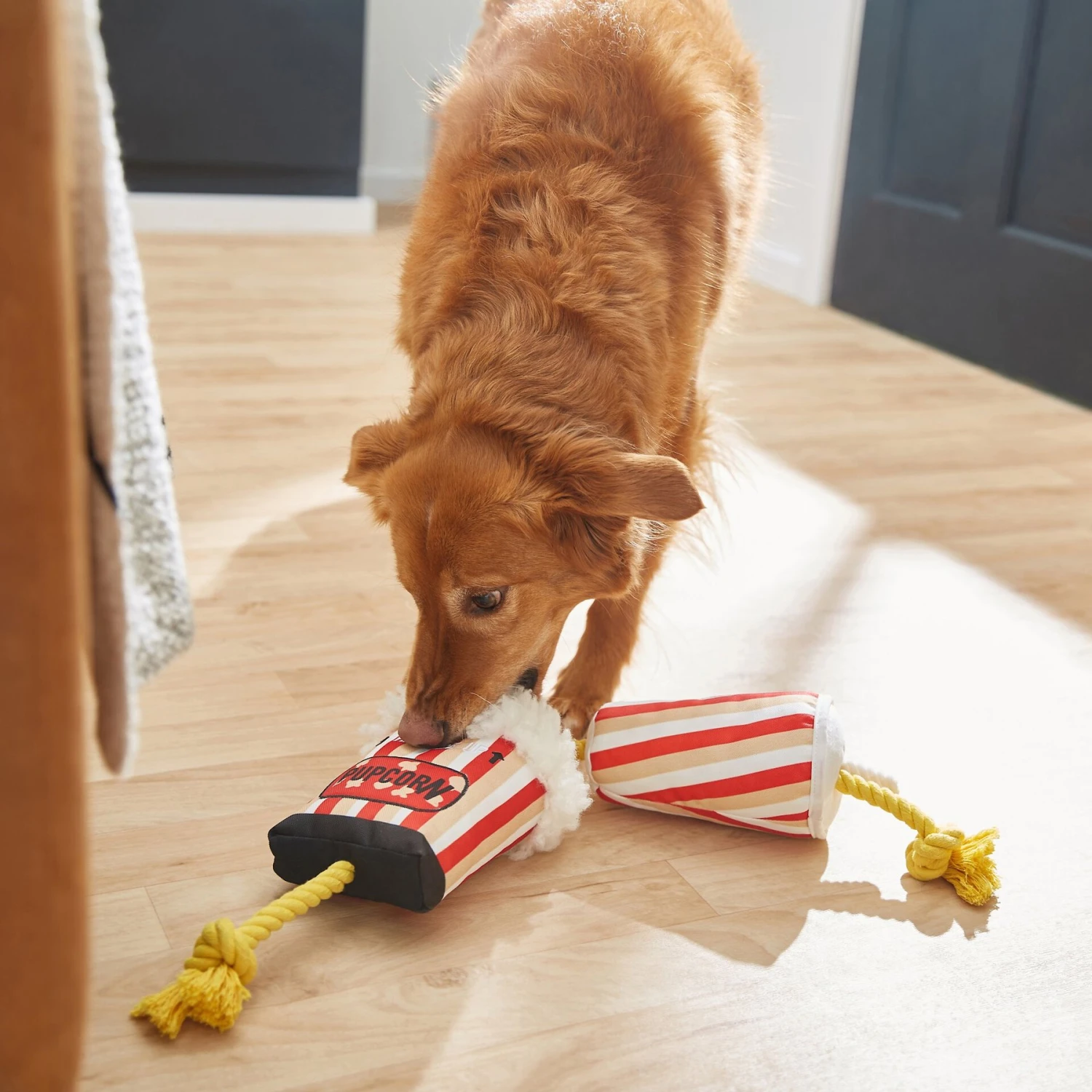 Frisco Zoomies & Chill Theatre Snacks Rope With Plush Squeaky Dog Toy 3 Frisco Zoomies & Chill Theatre Snacks Rope With Plush Squeaky Dog Toy - Image 3