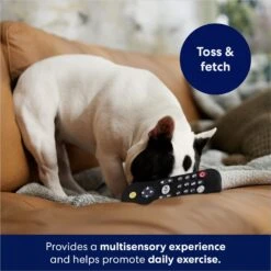 Frisco Zoomies & Chill Remote Latex Squeaky Dog Toy 8 Frisco Zoomies & Chill Remote Latex Squeaky Dog Toy -Frisco 241753 PT6. AC SS1800 V1686580150