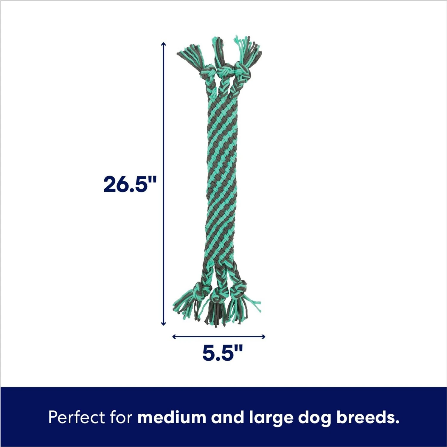 Frisco Flat Teal & Gray Braided Rope Squeaky Fetch Dog Toy 2 Frisco Flat Teal & Gray Braided Rope Squeaky Fetch Dog Toy - Image 2
