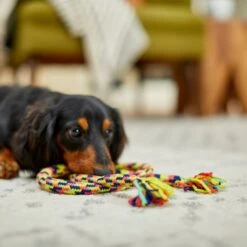 Frisco Pretzel Rope Dog Toy 5 Frisco Pretzel Rope Dog Toy -Frisco 242141 PT2. AC SS1800 V1605208795