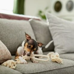 Frisco Double Knot Cotton Rope Fetch Dog Toy 5 Frisco Double Knot Cotton Rope Fetch Dog Toy -Frisco 242155 PT2. AC SS1800 V1605208728