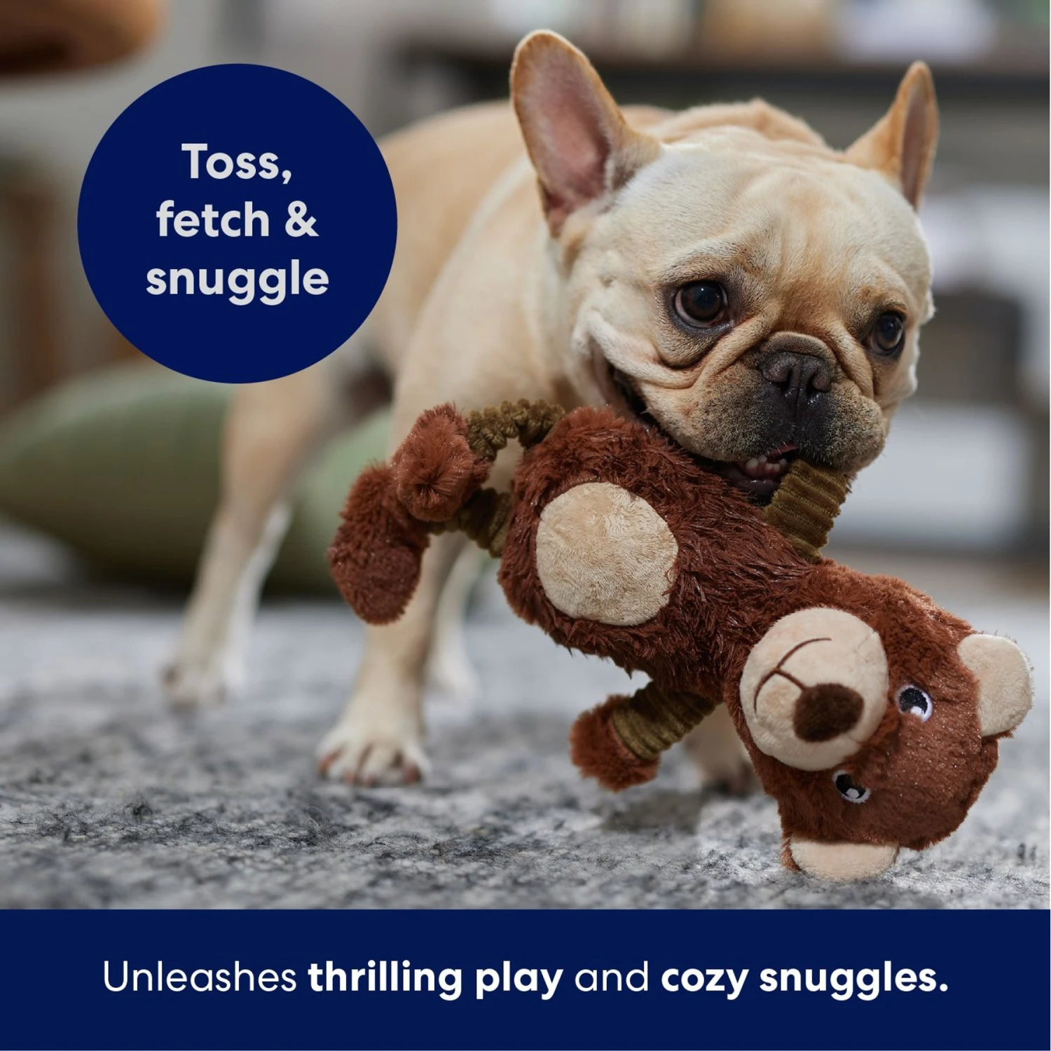 Frisco Bear Plush Squeaky Dog Toy 5 Frisco Bear Plush Squeaky Dog Toy - Image 5