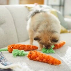 Frisco Easter Carrot Plush With Rope Dog Toy 8 Frisco Easter Carrot Plush With Rope Dog Toy -Frisco 248023 PT5. AC SS1800 V1608769360
