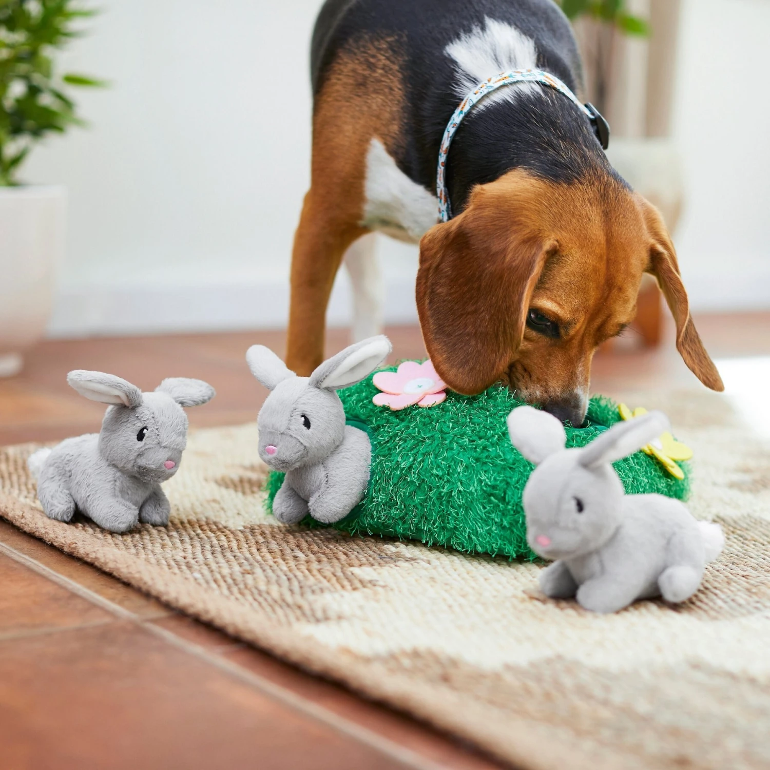 Frisco Spring Bunny Burrow Hide & Seek Plush Squeaky Dog Toy 5 Frisco Spring Bunny Burrow Hide & Seek Plush Squeaky Dog Toy - Image 5