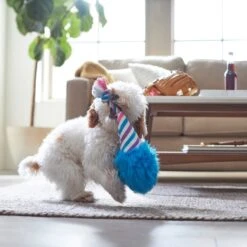 Frisco Baseball Cotton Candy Plush With Rope Squeaky Dog Toy 5 Frisco Baseball Cotton Candy Plush With Rope Squeaky Dog Toy -Frisco 252750 PT5. AC SS1800 V1615814567