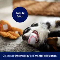 Frisco Baseball Mitt & Ball Interactive Plush Squeaky Dog Toy 10 Frisco Baseball Mitt & Ball Interactive Plush Squeaky Dog Toy -Frisco 252756 PT5. AC SS1800 V1686579205