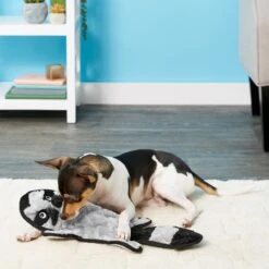 Frisco Alligator Stuffing-Free Flat Plush Squeaky Dog Toy & Frisco Raccoon Stuffing-Free Flat Plush Squeaky Dog Toy 9 Frisco Alligator Stuffing-Free Flat Plush Squeaky Dog Toy & Frisco Raccoon Stuffing-Free Flat Plush Squeaky Dog Toy -Frisco 255471 PT4. AC SS1800 V1602691287