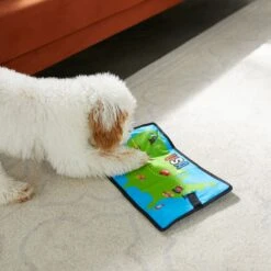 Frisco Road Trip Foldable Map Flat Plush Squeaky Dog Toy 9 Frisco Road Trip Foldable Map Flat Plush Squeaky Dog Toy -Frisco 261998 PT4. AC SS1800 V1619791937