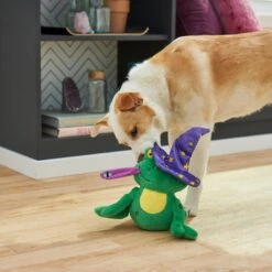 Frisco Magic Wizard Frog Plush Squeaky Dog Toy 5 Frisco Magic Wizard Frog Plush Squeaky Dog Toy -Frisco 265588 PT3. AC SS1800 V1620939075